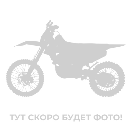 Мотоцикл Avantis Enduro 250 DOHC PRO Carb FCR Exclusive ARS (2022) ПТС