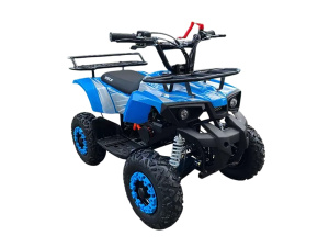 Квадроцикл ATV WELS Thunder mini 2T